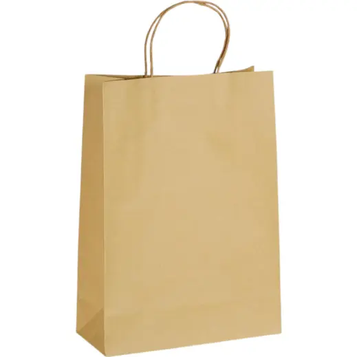 Ecological Digital Print Maxi Paper Gift Bag 150gsm Unbranded